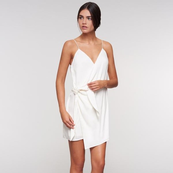 NWT Stylestalker Sadie Shift Dress - Picture 4 of 8